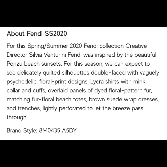 FENDI Kan-u Wallet On Chain - Picture 8 of 8